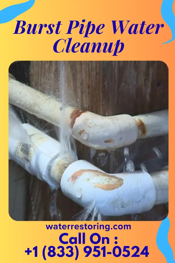 Burst Pipe Water Cleanup in La Crescent, MN
