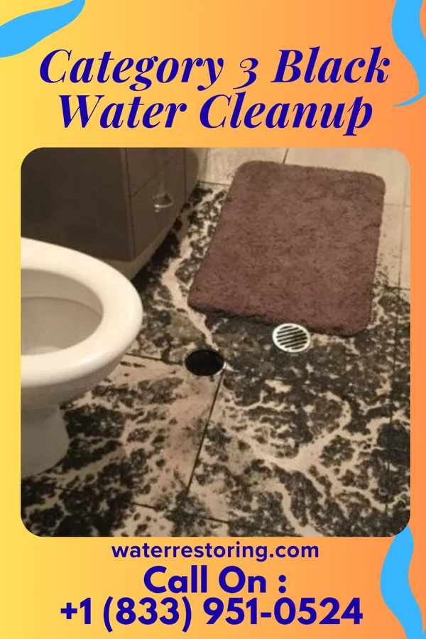 Category 3 Black Water Cleanup in La Crescent, MN