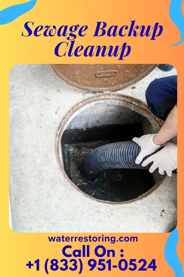 Sewage Backup Cleanup in La Crescent, MN